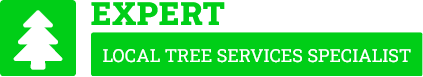 Porirua Tree Removal - Tree Removal Porirua